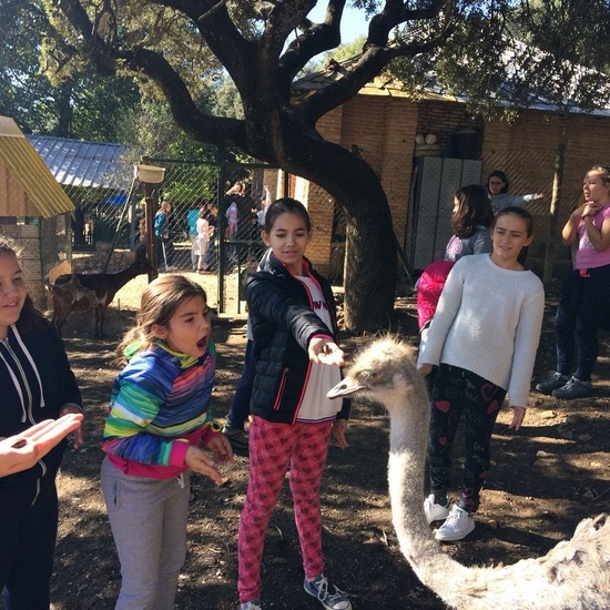 Mohernando 2017_4 27