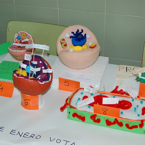 CONCURSO CELULAR 1º ESO 4