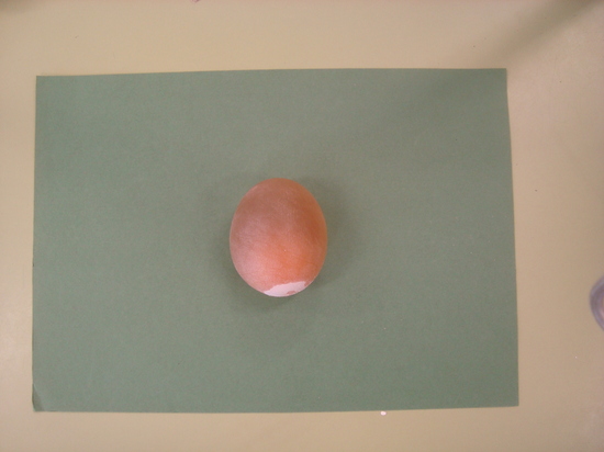 I+D: el huevo después del vinagre.