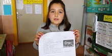 A mammal: The Fox, by María.  (Natural Sciences: Primary 2)