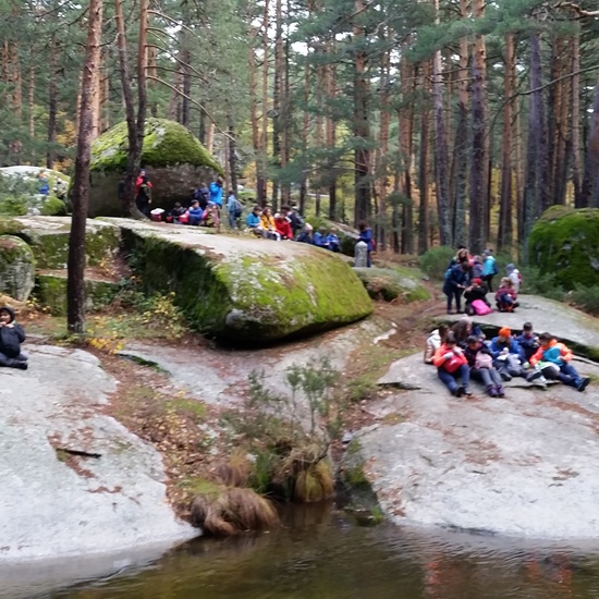 MANZANARES EL REAL 29