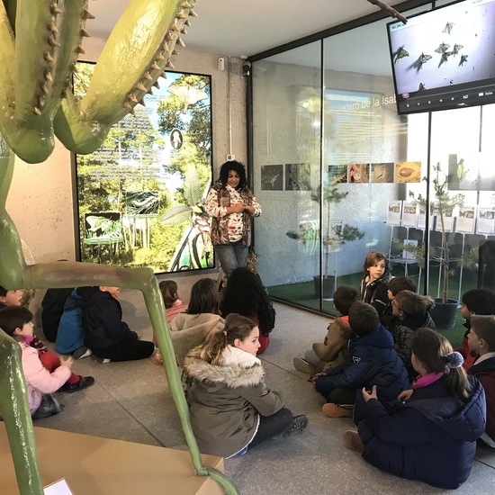 2020_02_27_3º visita Insectpark (3)_CEIP FDLR_Las Rozas 5