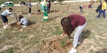 Plantación en el parque forestal de Valdebebas 2019 11