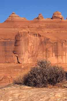 Pared de una montaña