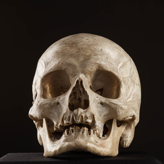 IES_ISABELLACATOLICA_BIOLOGIA_578