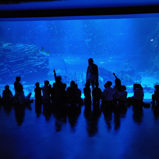FOTOS AQUARIUM 3 21