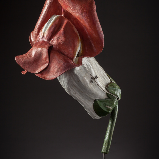 IES_ISABELLACATOLICA_BIOLOGIA_069