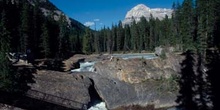 Saltos en un río de las Montañas Rocosas