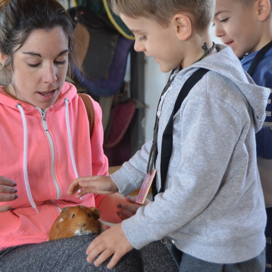 GRANJA ESCUELA ALBITANA 43