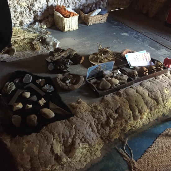 4º en la Granja Escuela El Rodeo. 6