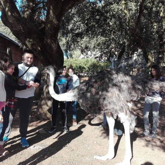 Mohernando 2017_3 42