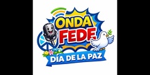 LOS JUGUETES SON PARA JUGAR