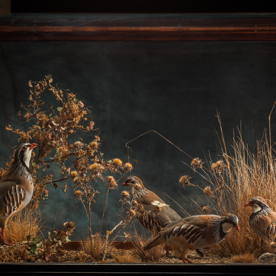 IES_SANISIDRO_BIOLOGIA_146