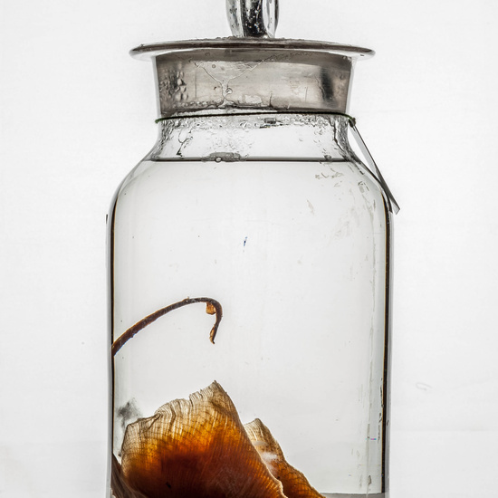 IES_CARDENALCISNEROS_CIENCIASNATURALES_361