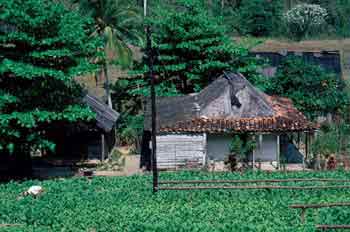 Construcción rural en Cuba