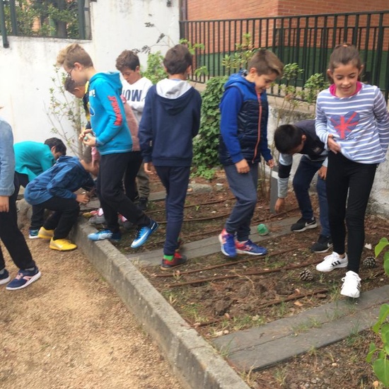 2018_11_CUARTO DISEÑANDO EL JARDIN DE LOS SENTIDOS_CEIP FDLR_LAS ROZAS 17