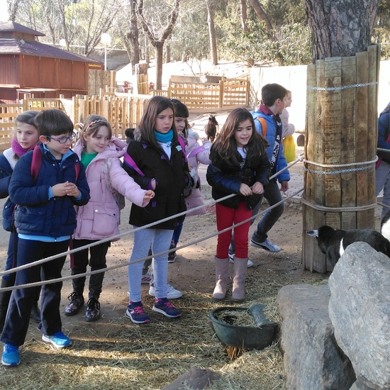 3ºE- Fotos Primer Trimestre 35