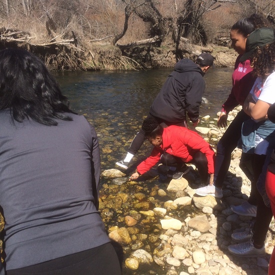 TALLER BIODIVERSIDAD PINILLA DEL VALLE 7