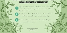 Instrucciones espacio de actividades con ritmos de aprendizaje distintos