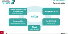 Video Introducción a RAICES