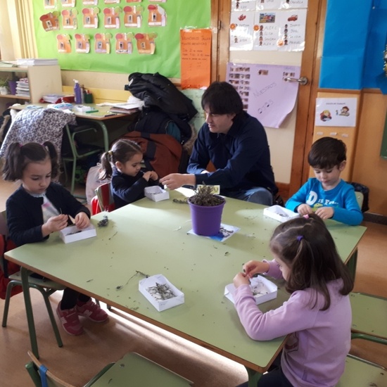 TALLER DE PLANTAS - 3 AÑOS INFANTIL 3
