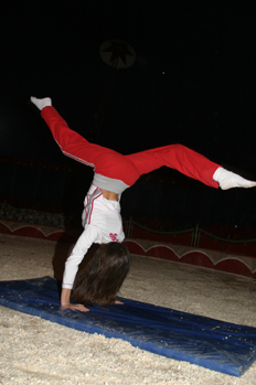 Gimnasta