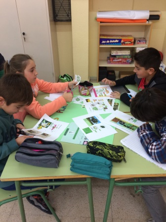 2016_12_Quinto A_Aprendizaje Cooperativo en CCNN 6