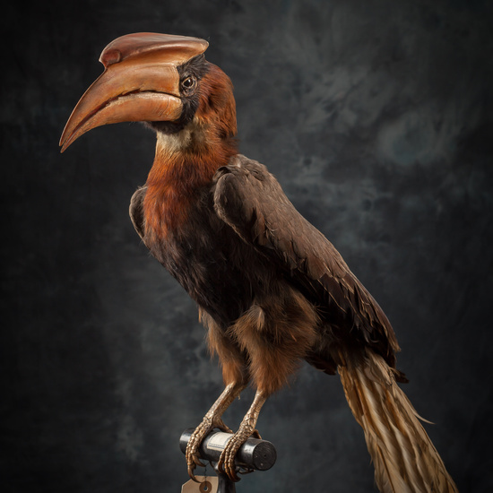 IES_SANISIDRO_BIOLOGIA_289