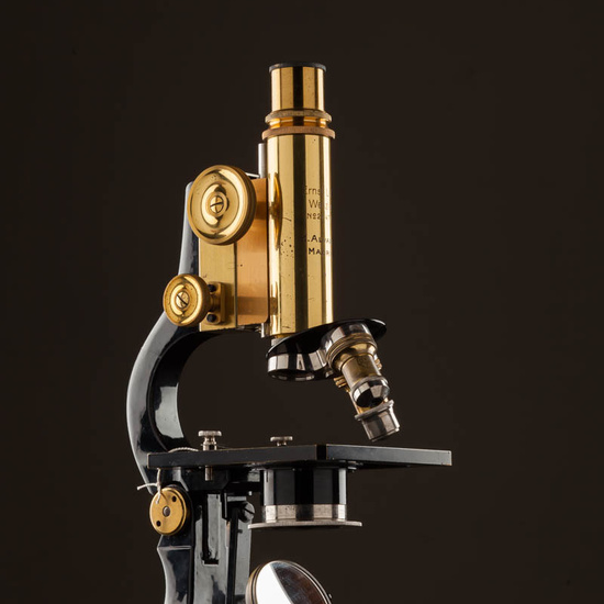 IES_ISABELLACATOLICA_BIOLOGIA_536