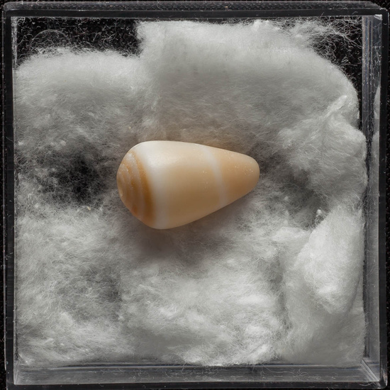 IES_ISABELLACATOLICA_BIOLOGIA_335