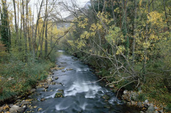 Valle de Iregua, La Rioja