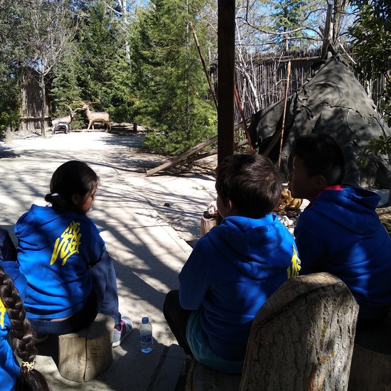 Arqueopinto 4º 19 15