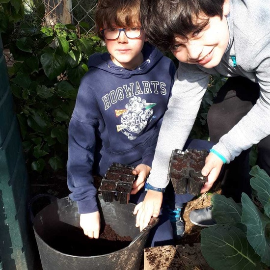 2020_02_13_4º planta en el huerto_CEIP FDLR_Las Rozas 8