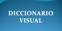 Diccionario visual 