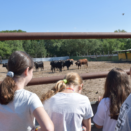 Salida en bici 4º de Primaria 13