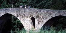 Puente de la Magdalena, Pamplona, Navarra