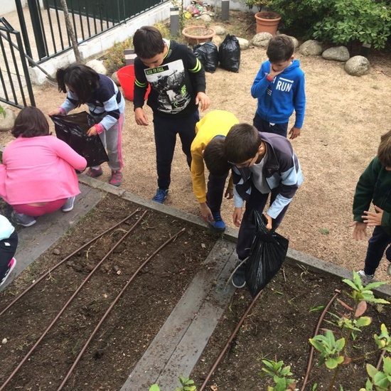 2018_11_CUARTO DISEÑANDO EL JARDIN DE LOS SENTIDOS_CEIP FDLR_LAS ROZAS 2