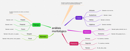 ANÁLISIS MORFOLÓGICO