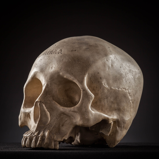 IES_SANISIDRO_MUSEO_Craneos_027