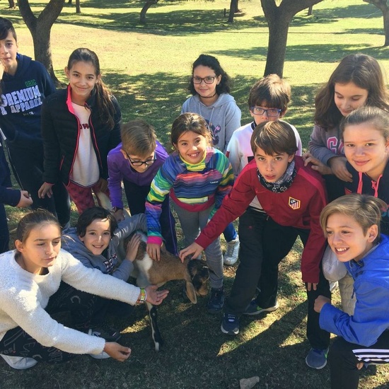 Mohernando 2017_4 13