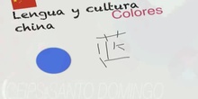 CHINO_COLORES