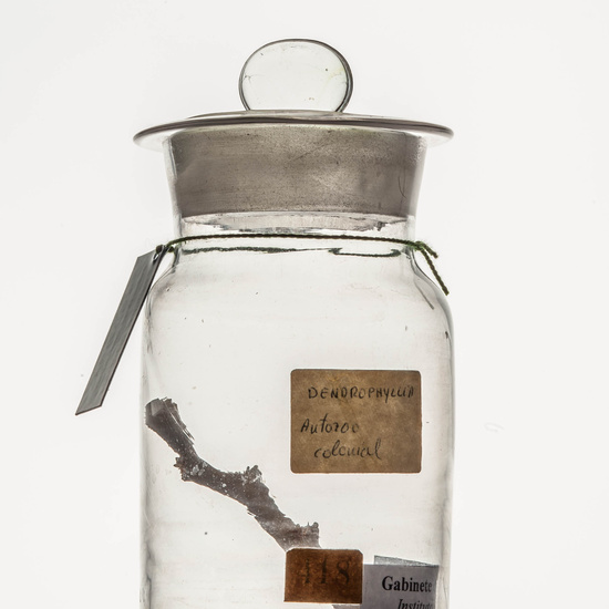 IES_CARDENALCISNEROS_CIENCIASNATURALES_051