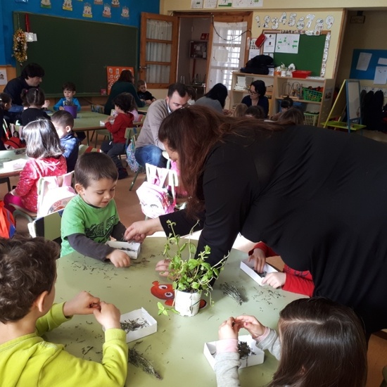 TALLER DE PLANTAS - 3 AÑOS INFANTIL 9