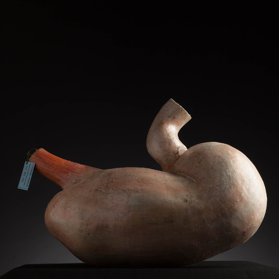 IES_CARDENALCISNEROS_ANATOMIA_MODELOS_108