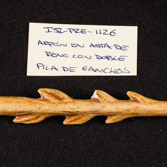 IES_SANISIDRO_MUSEO_Paleologia_028