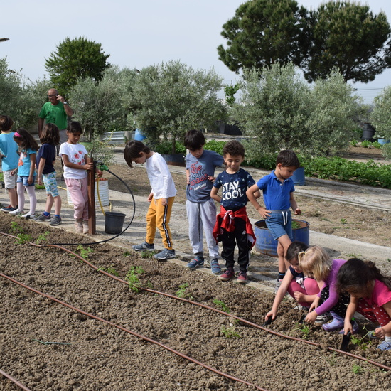 Siembra Huerta Balta 5 años 2018 28