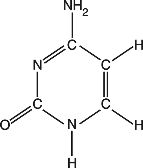 Citosina