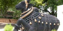Nandi (Toro Sagrado) India
