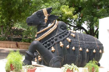 Nandi (Toro Sagrado) India