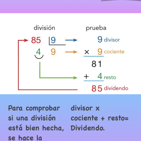 PRUEBA DIVISIÓN